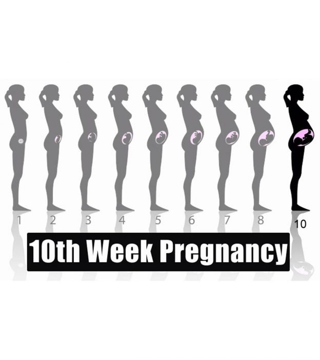 第十周怀孕:迹象，婴儿发育，提示和大小