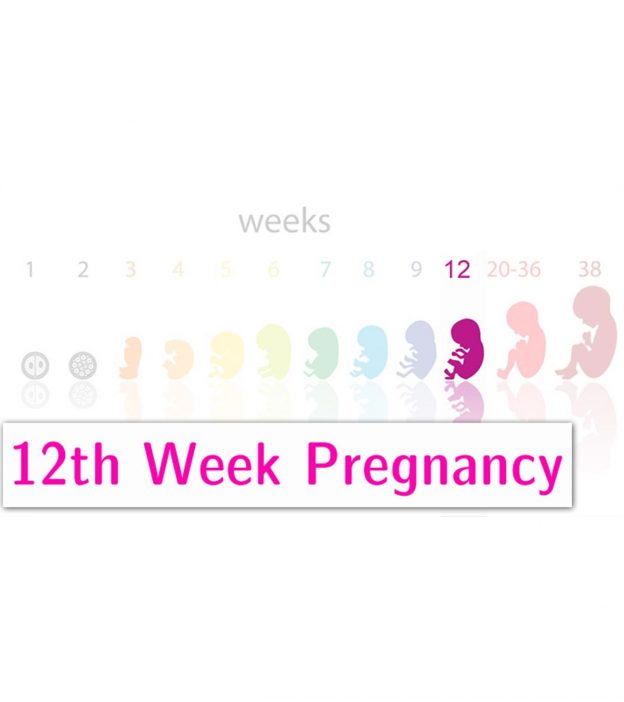 怀孕12周:症状，婴儿发育和身体变化
