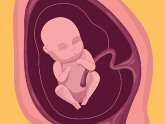 怀孕4个月的症状，婴儿发育和饮食提示