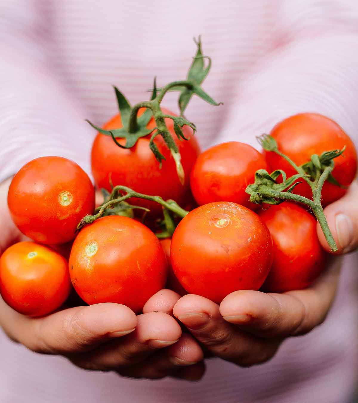 怀孕期间吃番茄:可manbet安卓版能的好处和风险