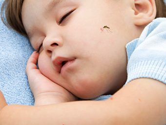 Mosquito-Bites-In-万博体育手机官方网站登录Toddlers1