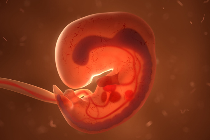 过量的维生素A会导致胎儿神经系统发育问题。