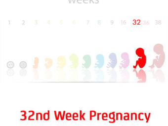 32 nd-week-pregnancy
