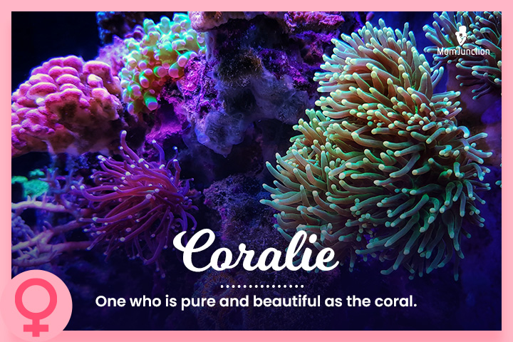 珊瑚美人:像珊瑚一样纯洁美丽的人。