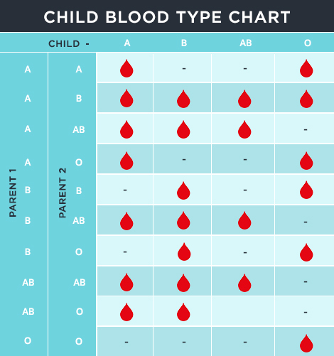 儿童血型图