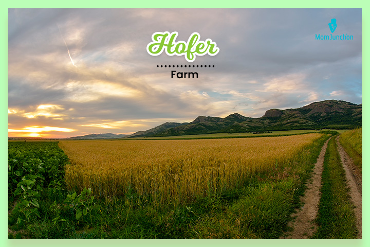 Hofer是罗马尼亚姓氏，意思是农场