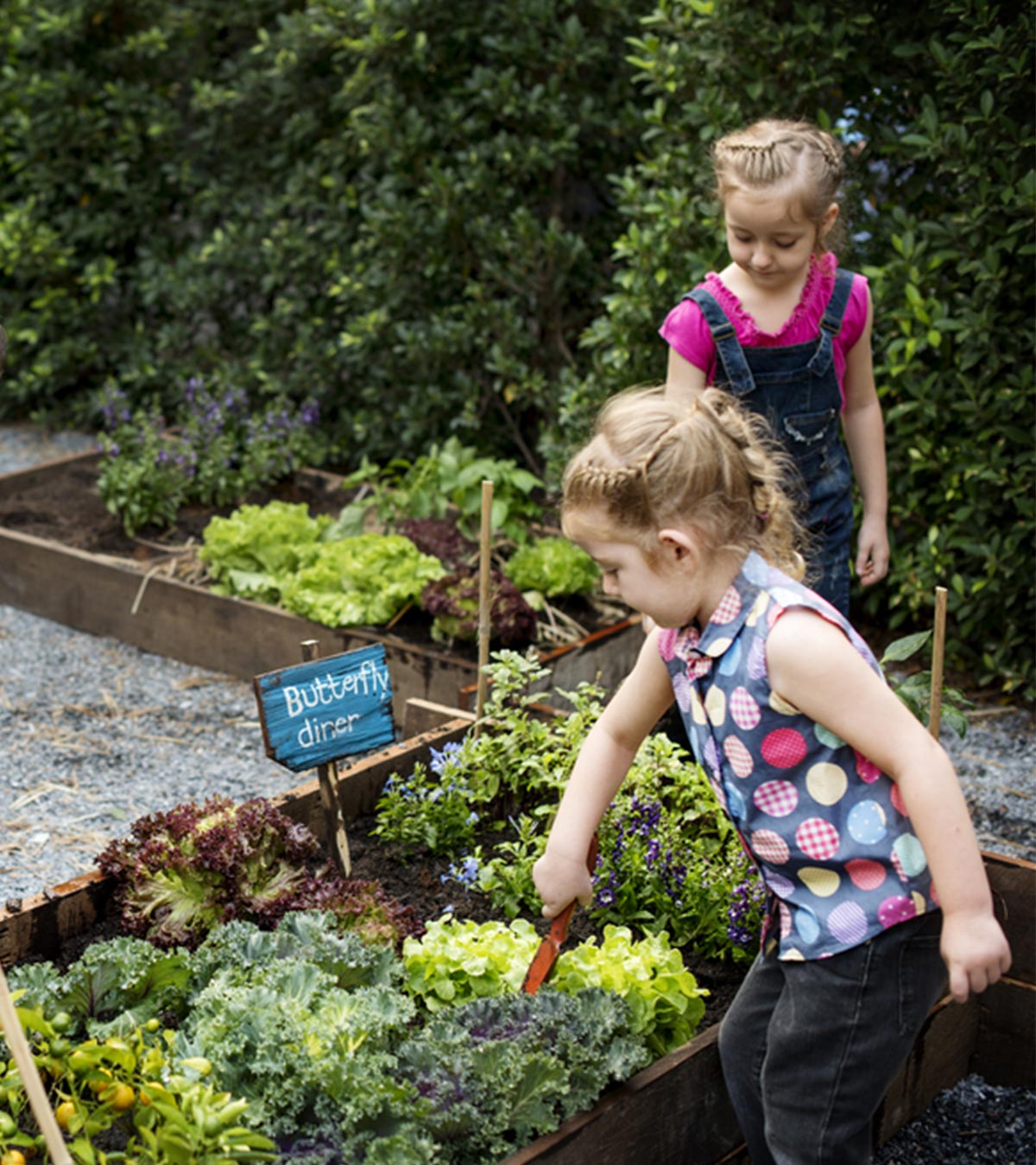 20个令人兴奋的花园创意，让孩子们开心