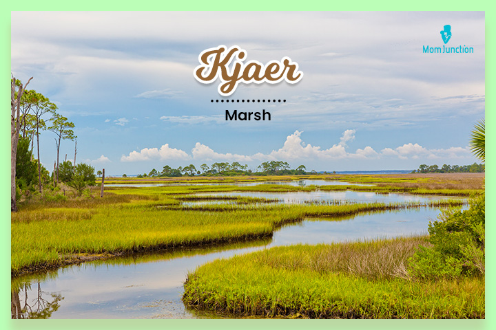 Kjaer的意思是美丽的沼泽地