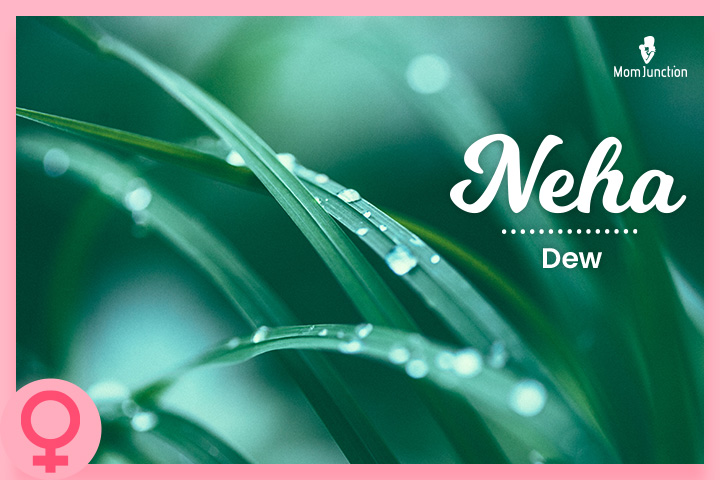 Neha也意味着下雨