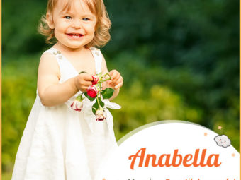 安娜贝拉，一个美丽的女性名字