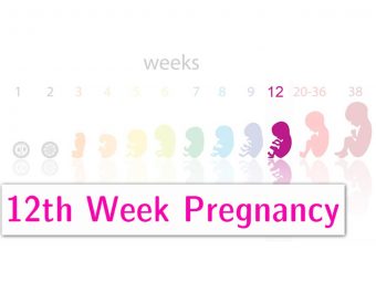 12th Week Pregnancy Symptoms, Baby Development And Body Changes