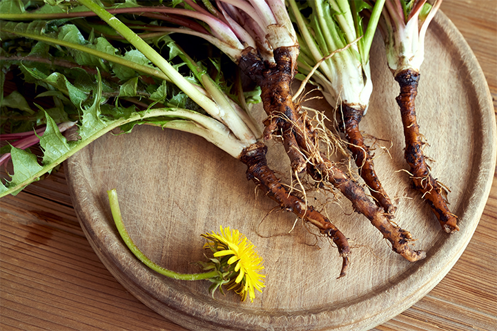 Dandelion root is a natural remedy for obstetric cholestasis