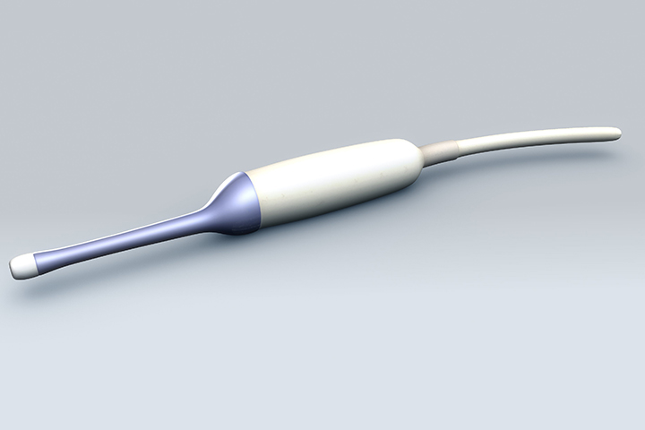 Transducer for a transvaginal scan during pregnancy