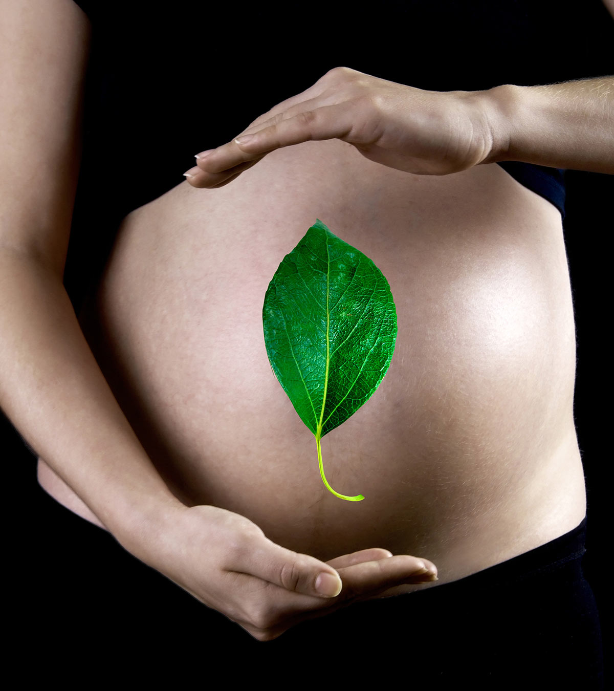 它是Safe To Eat Betel Leaves During Pregnancy?