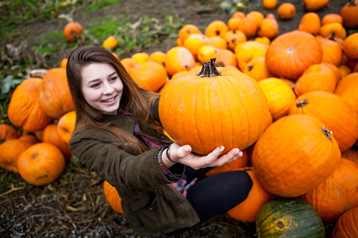 Pumpkin line up, Thanksgiving activites for teens