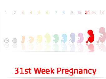 31st Week Pregnancy