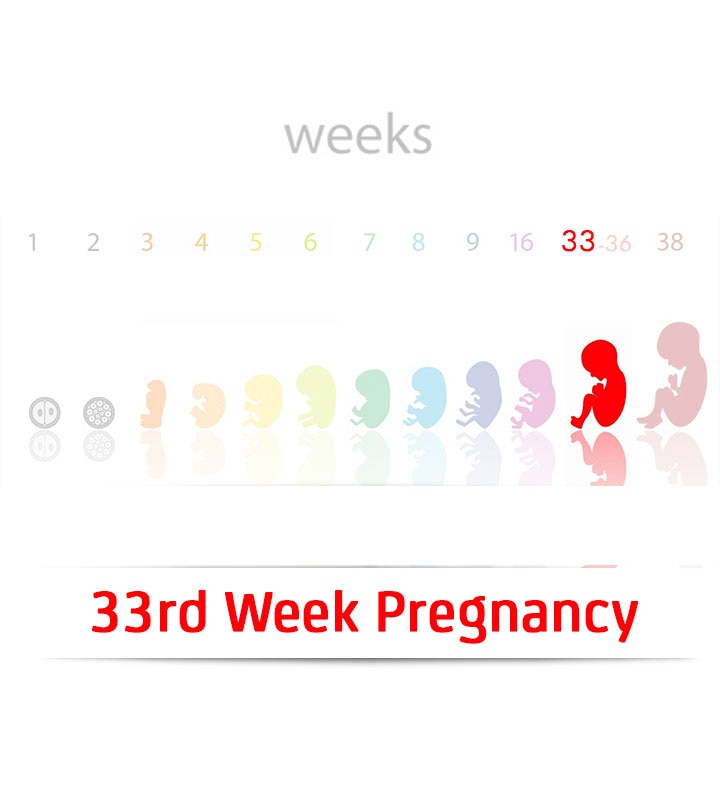 33周怀孕的nant: Signs, Baby Development Milestones & Tips