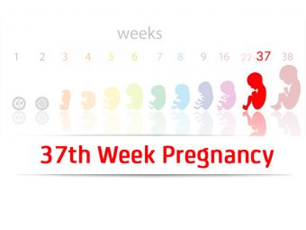 37th-Week-Pregnancy
