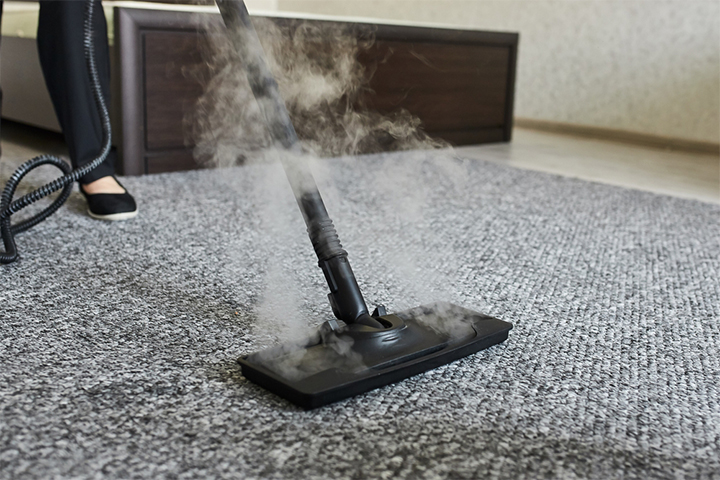 Regular steam drying of carpets can prevent dog allergies in infants
