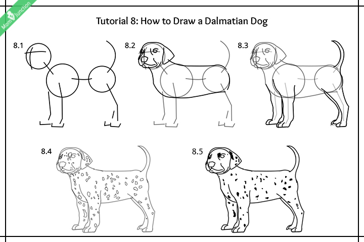 How to draw a dog for kids, dalmation dog