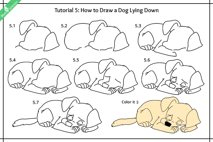 How to draw a dog for kids, dog lying down