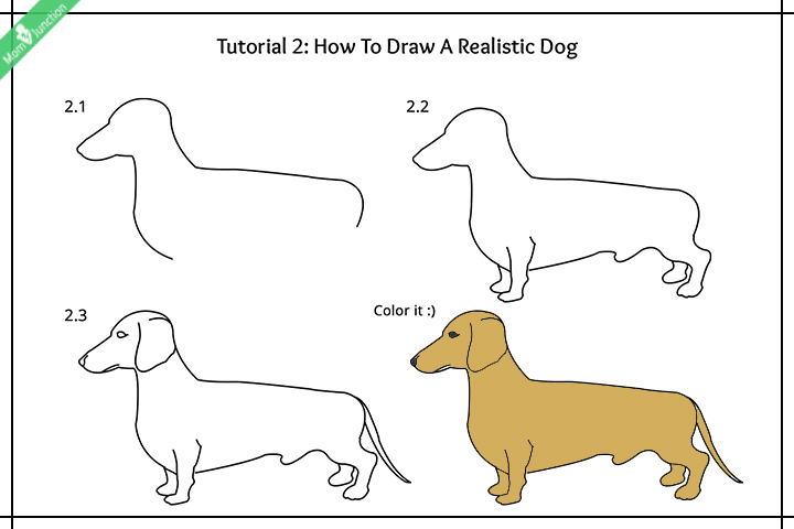 How to draw a dog for kids, realistic dog