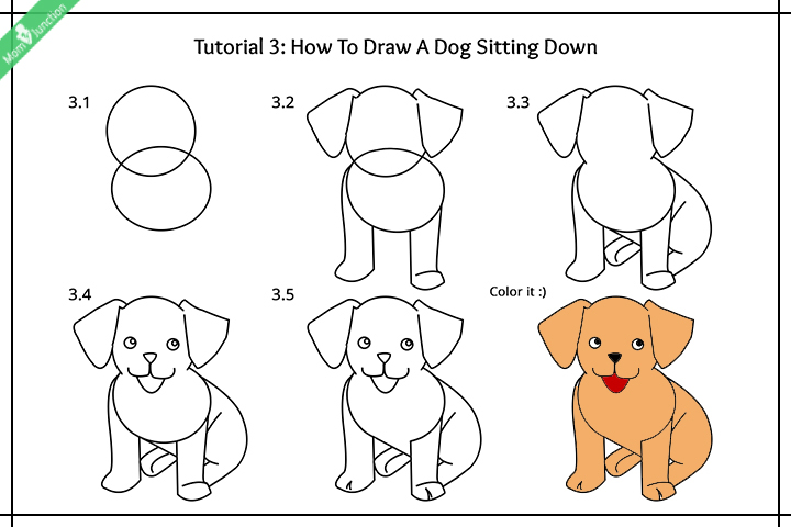 How to draw a dog for kids, sitting dog