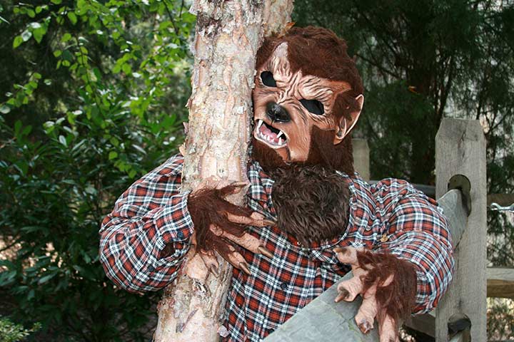 Werewolf Halloween costume for kids