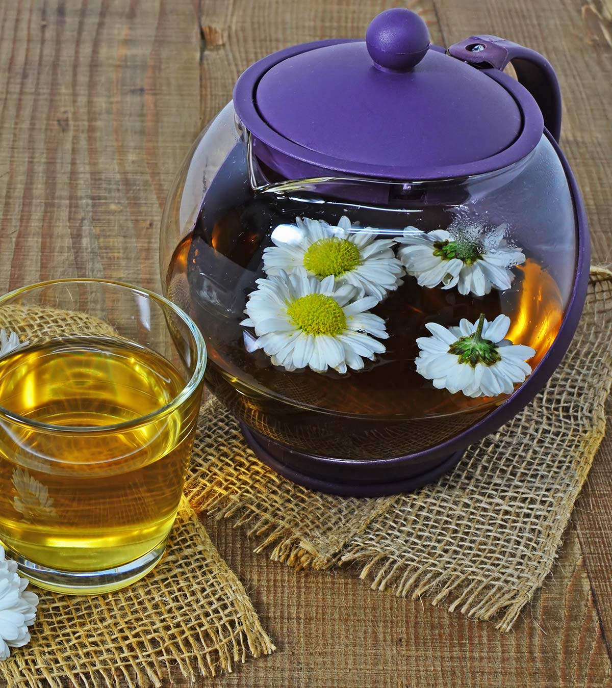 它是安全的Drink Chrysanthemum Tea During Pregnancy?