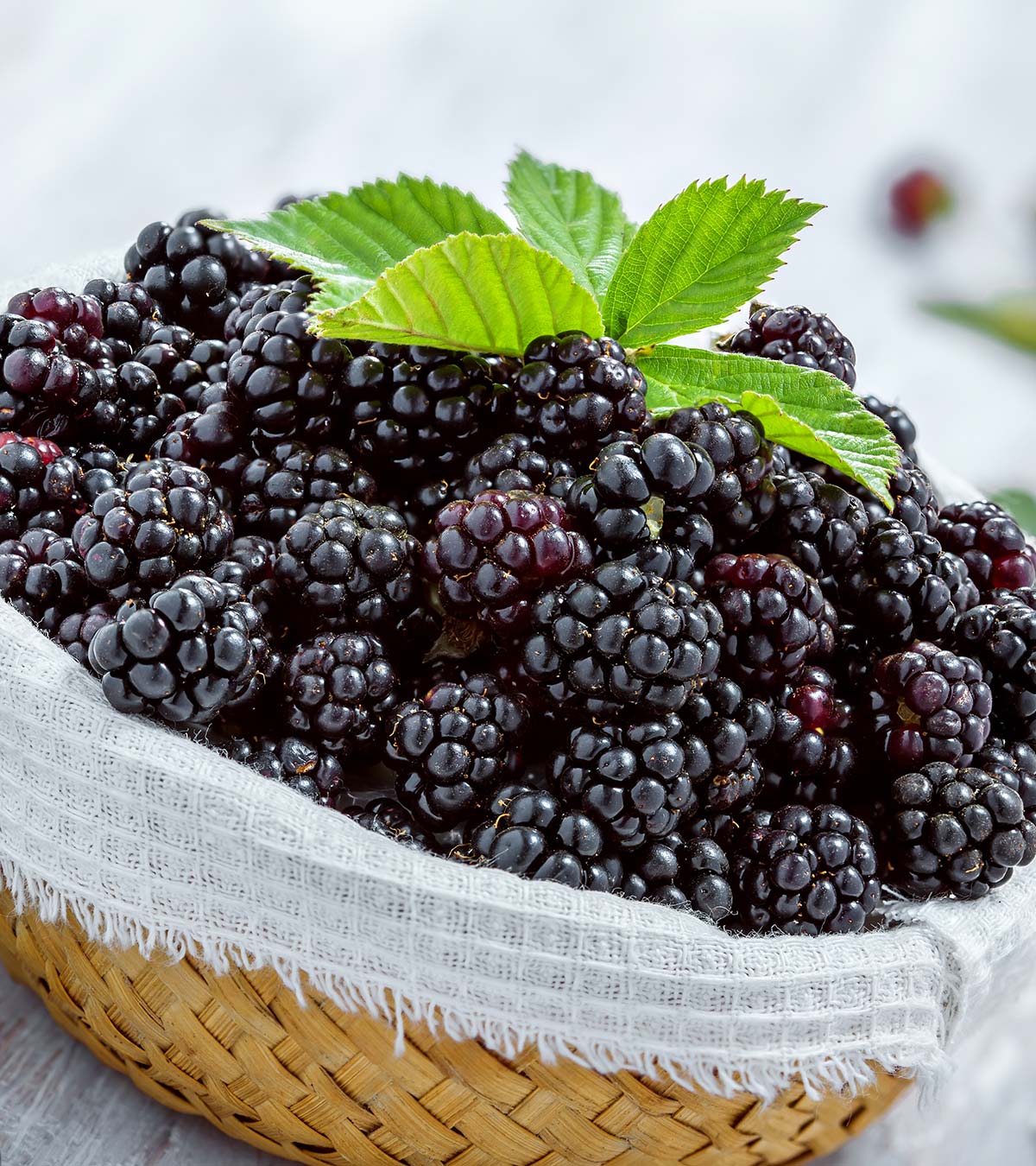 你能在怀孕期间吃黑莓吗?