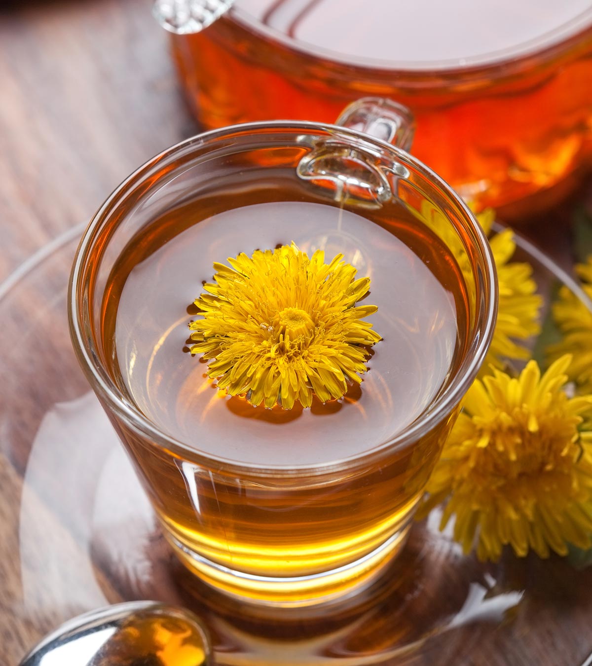 它是Safe To Take Dandelion Tea During Pregnancy?