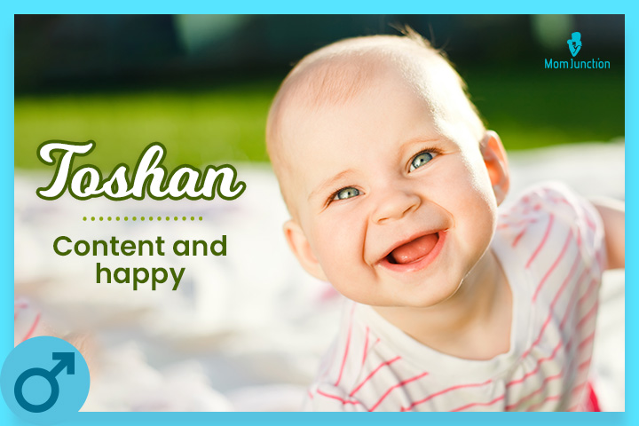 Toshan是一个阿拉伯语起源名字意义内容d happiness