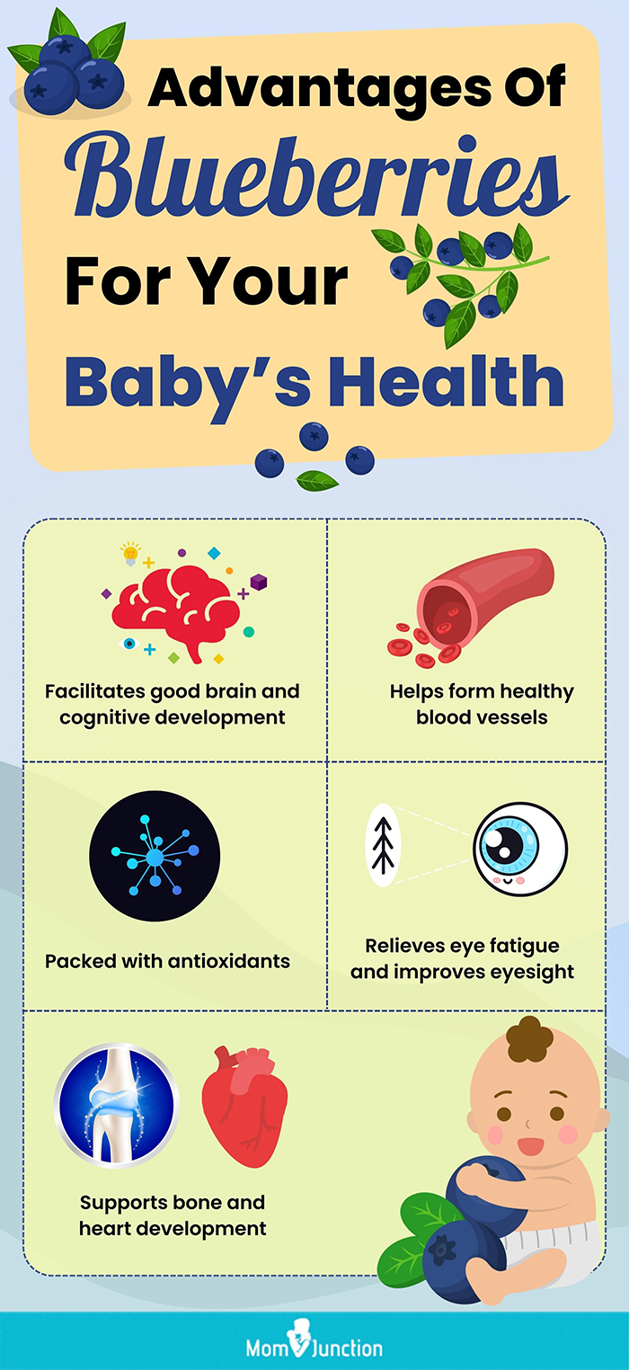 benefits of blueberries for infants (infographic)
