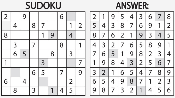 Sudoku as brain games for kids
