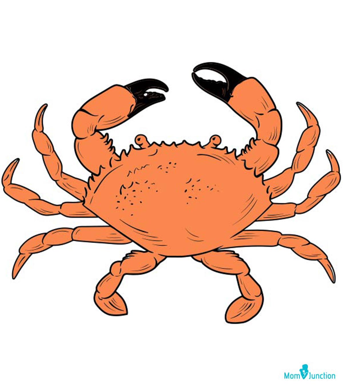 何w To Draw A Crab For Kids: A Step-By-Step Tutorial