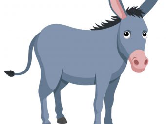 How To Draw A Donkey A Step-by-Step Process