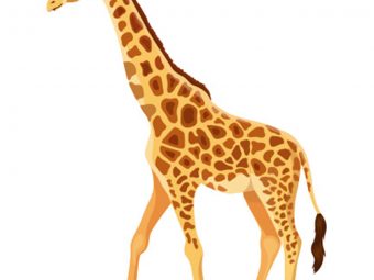 何w To Draw A Giraffe An Easy Step-By-Step Tutorial