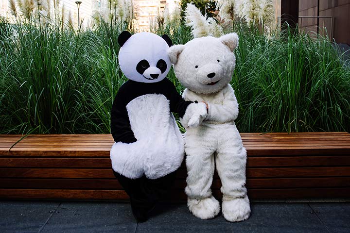 Panda and teddy couple costume ideas