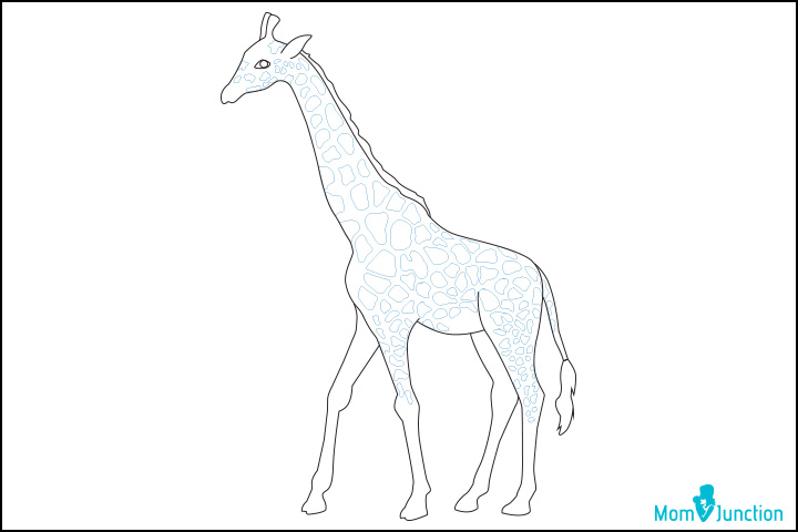 Step 10, how to draw a giraffe