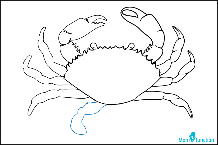 How to draw a crab step six