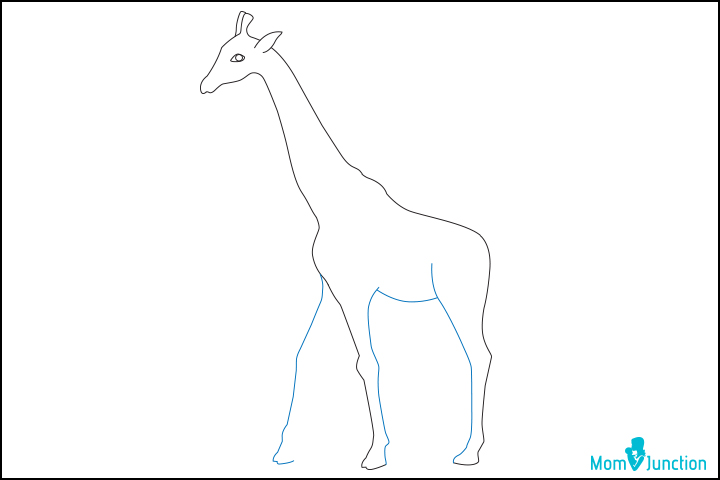 Step 7, how to draw a giraffe