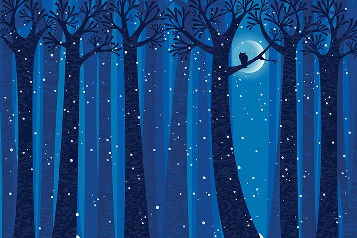 Woods at night, poems about animals for kids