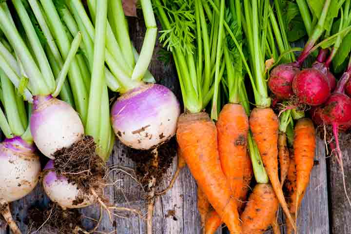 Root vegetables have inulin and fructo-oligosaccharide.