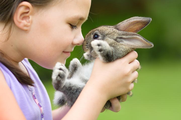 Rabbits as best pets for kids