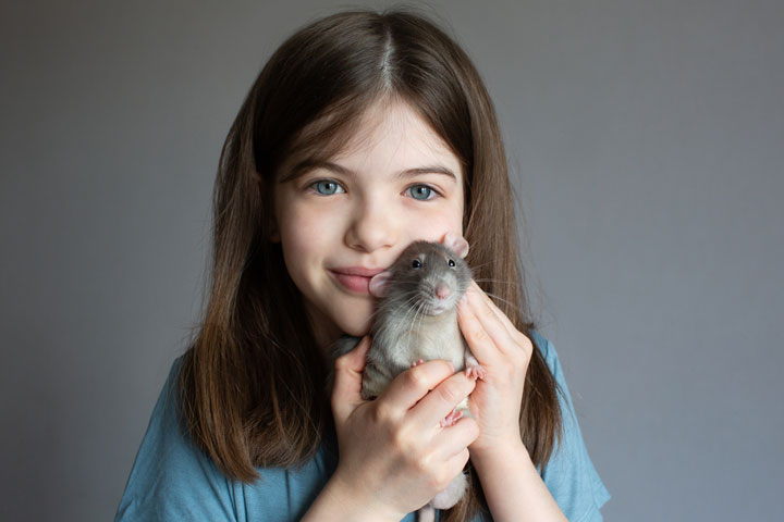 Rats as best pets for kids