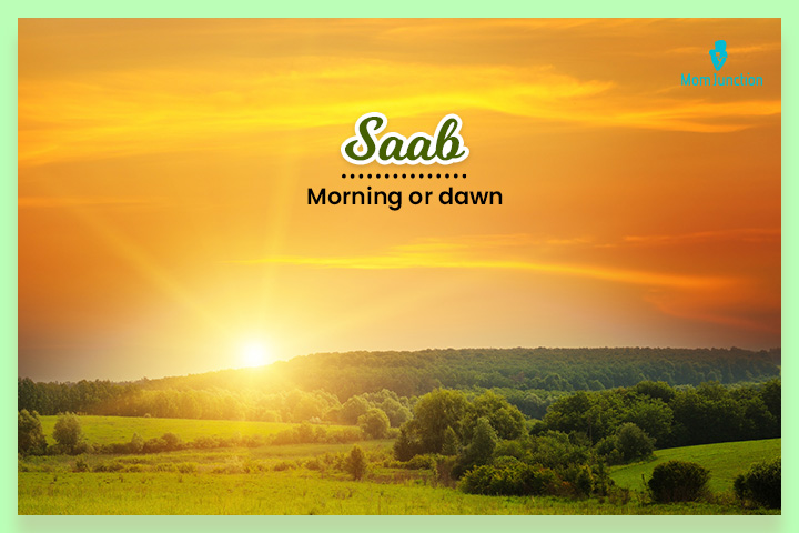 Saab is a Muslim surname meaning dawn