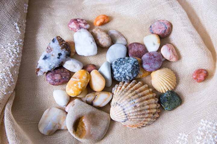 Collecting rocks and seashells as a hobby for kids