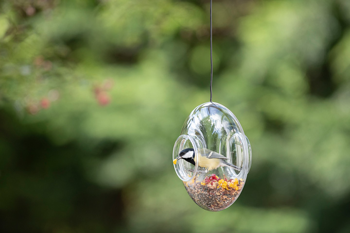 Glass shade bird feeders for kids