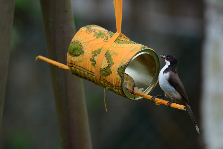 Paint can bird feeders for kids