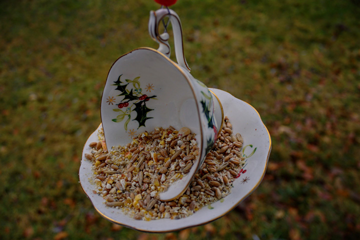 Teacup bird feeders for kids